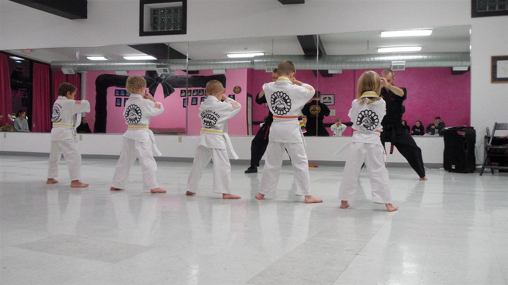 Average cost of learning karate
